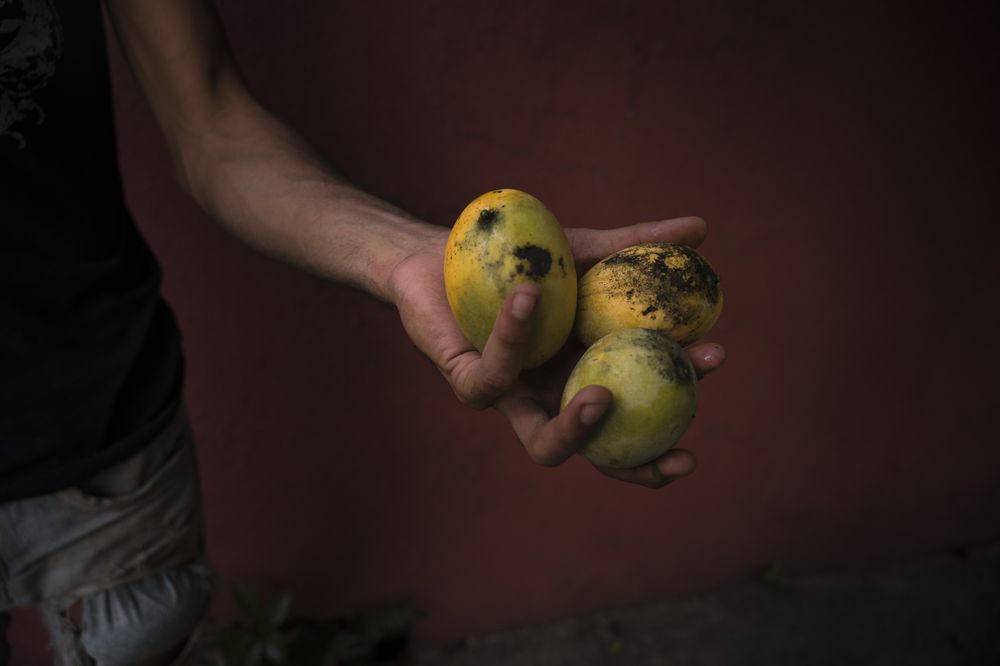 Caracas Es Un Arroz Con Mango