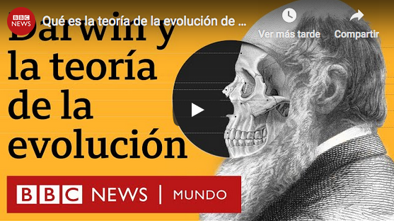 Un Fascinante Viaje Por La Revolucionaria Teoría De La Evolución De Darwin (Video BBC Mundo)